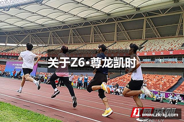 关于Z6·尊龙凯时